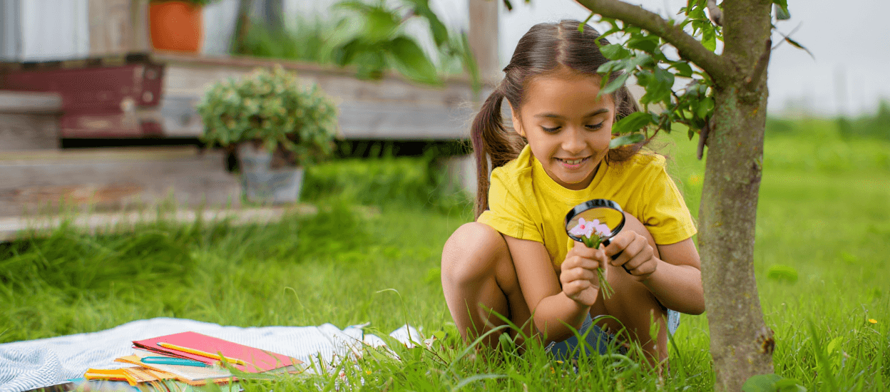 Child uses magnifying glass to examine pink flowers in green grass.